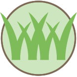 New Lenox Lawn Mowing