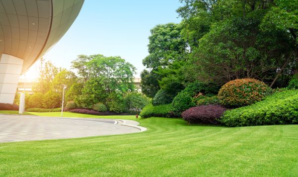 Cost of Commercial Lawn Mowing in New Lenox