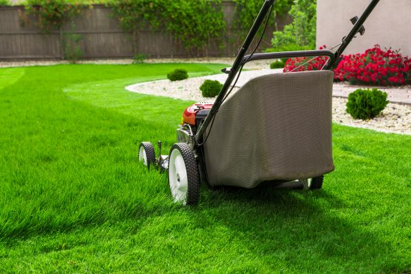 Cost of Home Yard Maintenance in New Lenox