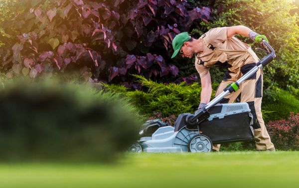 Cost of Lawn Care And Maintenance in New Lenox