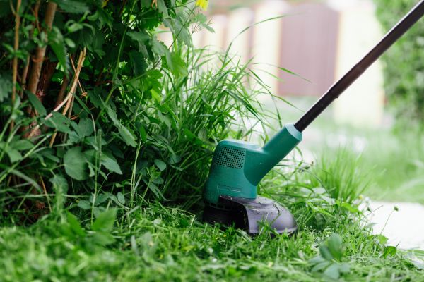 Cost of Weed Whacking in New Lenox