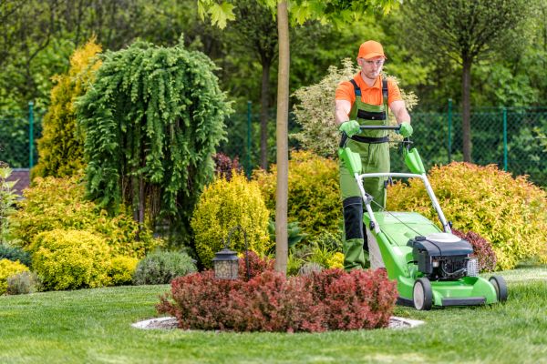 Cost of Yard Service in New Lenox