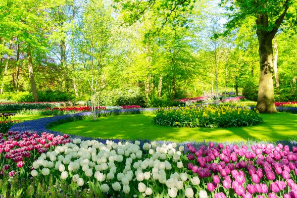 Cost of Spring Lawn Care in New Lenox