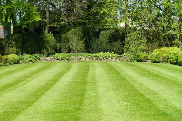 Cost of Grass Care Service in New Lenox