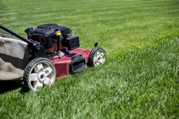 Cost of Routine Lawn Care in New Lenox