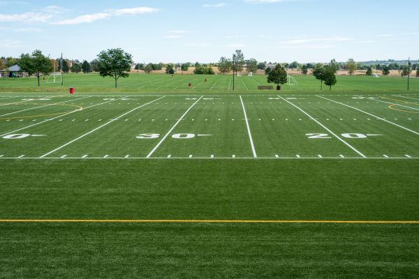 Cost of Groundskeeping Service in New Lenox