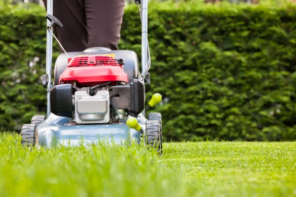 Cost of Grass Trimming Service in New Lenox