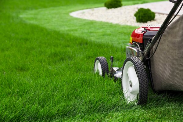 Weekly Mowing in New Lenox