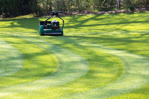 Cost of Business Lawn Mowing in New Lenox
