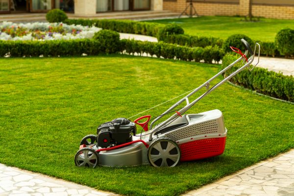 Cost of Business Grass Cutting in New Lenox