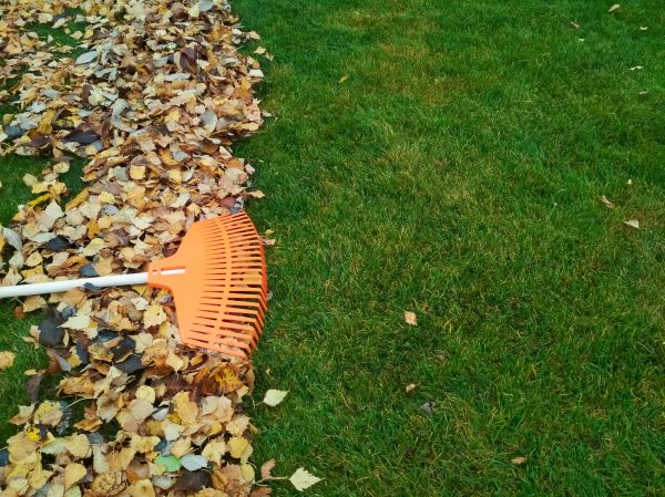 Fall Lawn Care in New Lenox