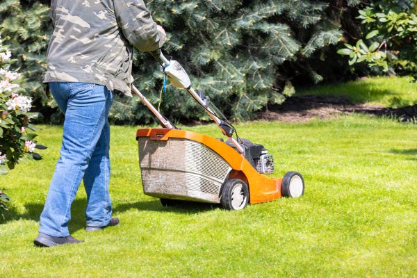 Cost of Springtime Lawn Care in New Lenox