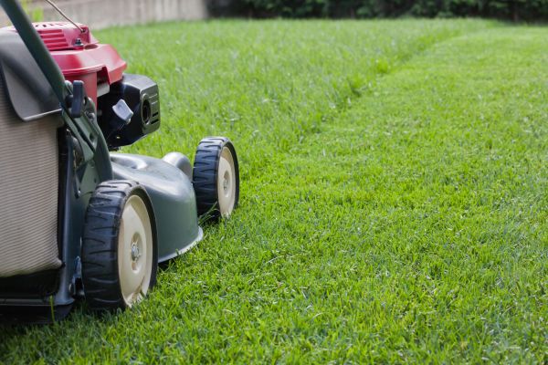 Cost of Spring Lawn Maintenance in New Lenox