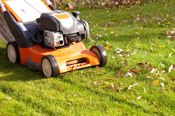 Cost of Fall Mowing in New Lenox