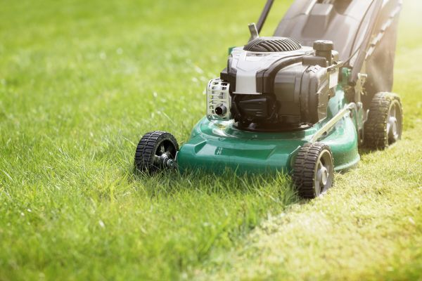 Cost of Spring Grass Trimming in New Lenox