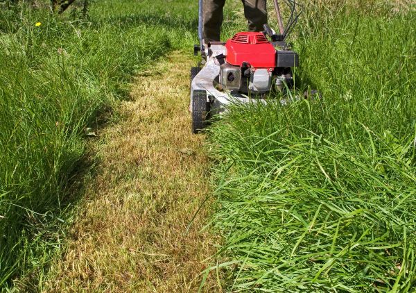 Leaf Mowing in New Lenox