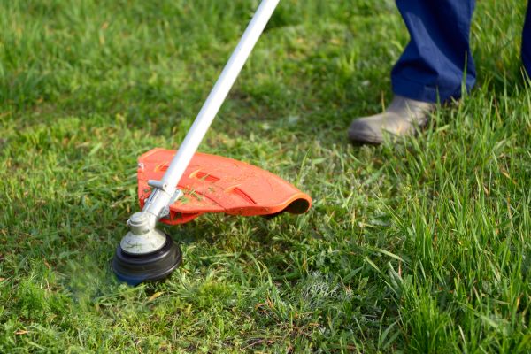 Cost of Lawn Weed Whacking in New Lenox