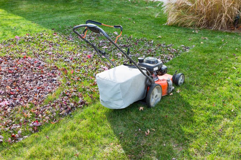 Seasonal Lawn Care